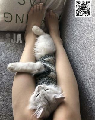 国产延时喷剂十大排名_国产在线视频
