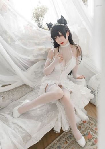 欧美人与动人物牲交a_BD神马在线观看